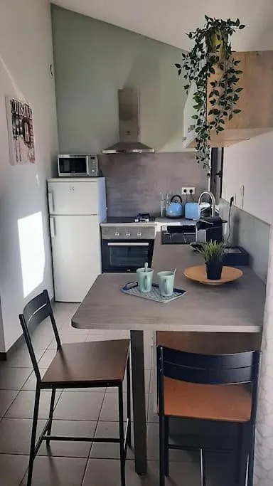 Toulouse Charmant T3 Ponts Jumeaux Avec Terrasse Apartment